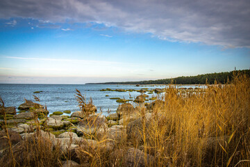 beach, laheema national park, laheema, altja, estonia, baltics, baltic countries, baltic sea, erratic stones,