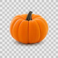 Realistic pumpkin isolated on transparency grid background
