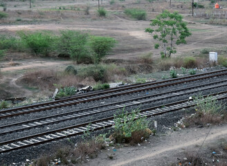 View Of Indian Railway Train Tracks with surrounding tress
