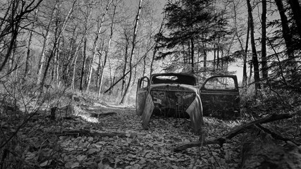 Fototapeta na wymiar old vintage car in forest