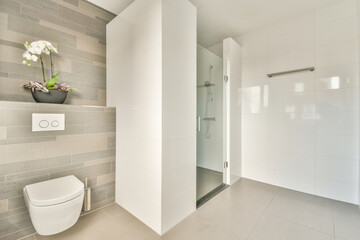 Shower cabin and toilet in modern bathroom