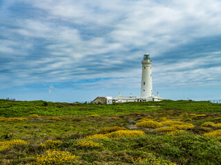 Fototapeta na wymiar Seal Point Lighthouse at Cape St Francis South Africa