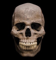 Obraz premium Homo sapiens male skull anatomically accurate anterior or front view isolated on black background 3D rendering illustration. Human anatomy, medicine, biology, science concept.
