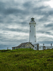 Seal Point Lighthouse at Cape St Francis South Africa