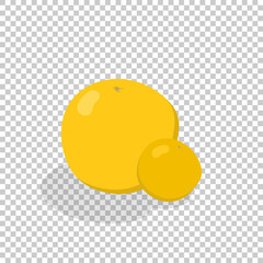 Food, vegetables and fruits. Vector illustration.drawings for a poster, postcard or background.