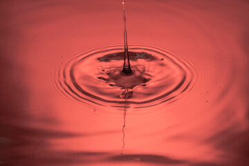 Close up view of drops making circles on red water surface isolated on background.