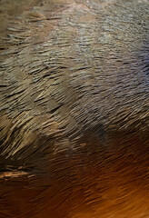 Devil's in the details