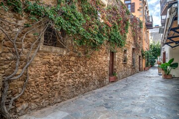 An Alley in Crete