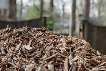Pile of arborist wood chips, a sustainable natural mulch made from tree bark and branches, that decomposes and feeds the soil