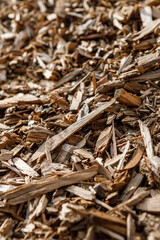 Pile of arborist wood chips, a sustainable natural mulch made from tree bark and branches, that decomposes and feeds the soil