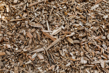Pile of arborist wood chips, a sustainable natural mulch made from tree bark and branches, that decomposes and feeds the soil