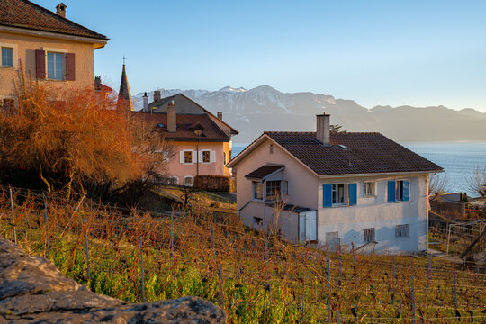 Lavaux