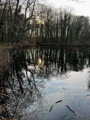 reflections in the water