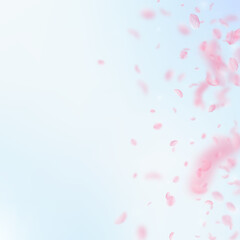 Fototapeta na wymiar Sakura petals falling down. Romantic pink flowers gradient. Flying petals on blue sky square background. Love, romance concept. Uncommon wedding invitation.