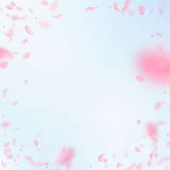 Fototapeta na wymiar Sakura petals falling down. Romantic pink flowers vignette. Flying petals on blue sky square background. Love, romance concept. Fetching wedding invitation.