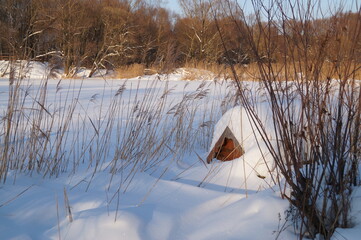 frozen lake in winter