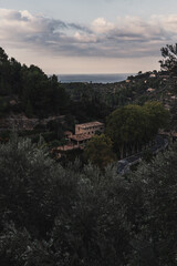 a house in the middle of forest, Mallorca