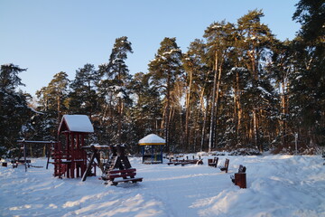 winter in the forest