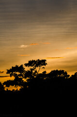 atardecer 