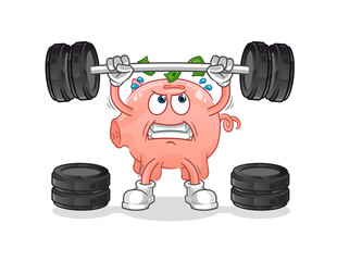 piggy bank lifting the barbell character. cartoon mascot vector