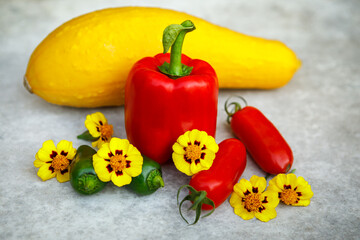 Colorful summer harvest of yellow straightneck squash, red bell pepper, paste tomatoes and jalapeno peppers amongst red and yellow marigold flowers