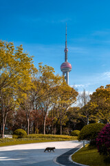 Obraz premium View of Shanghai City Park, China