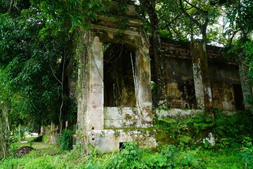 Fototapeta na wymiar Lost places. Giant trees in ruins of an abandoned house from the 18th century. Nature has reclaimed the house with trees, roots and lianas in the Amazon rainforest. Paricatuba, Amazon state, Brasil 