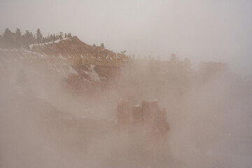 Thick Fog Fills Bryce Amphitheater