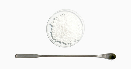 Carbamide in Chemical Watch Glass placed next to the stainless spatula. Close up chemical...
