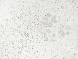 Cement floor with dog footprints.