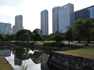 Fototapeta premium 夏空の浜離宮庭園の堀の風景
