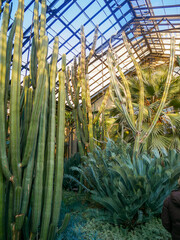 Desert Garden at Sunset