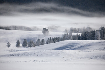 Wind blown landscape of Hayden Valley in Yellowstone National Park during the winter