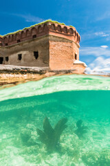 Fototapeta premium Creative vision