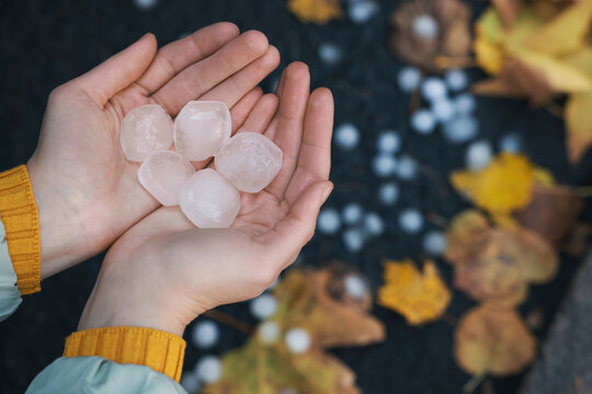 Woman Holding Hail Grains After Thunderstorm Outdoors, Closeup