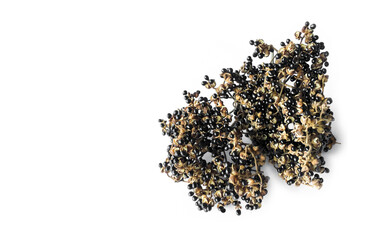 Dry Zanthoxylum limonella Alston seeds on white background, Asian herbs concept.