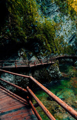 Wooden Walkway Along Beautiful Spring Valley