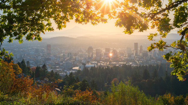 Portland Downtown and Mt Hood Framed with Maple leaves and other autumn foliage, Rising sun shining behind the leaves.