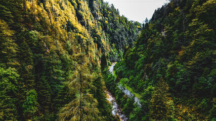 Green Forested Mountain Valley © ANITEK MEDIA 