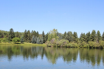 Fototapeta na wymiar lake in the forest, William Hawrelak Park, Edmonton, Alberta