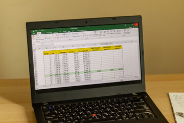 Shot of an excel sheet on computer screen showing bank loan amortization table. Accounting