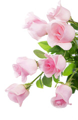 beautiful bouquet of pink roses flowers isolated on white background