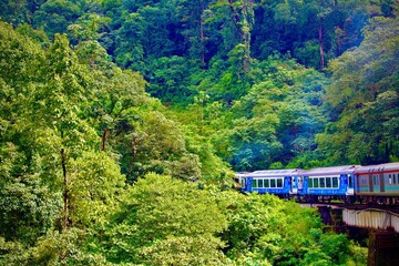 Indian railways entering the tunnel in western ghats. One of the most scenic journey in South India.