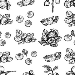 seamless pattern vector sketch. blueberry pattern vector  sketch. lueberry seamless pattern hand drawing. blueberry seamless pattern vector doodle. vector eps art