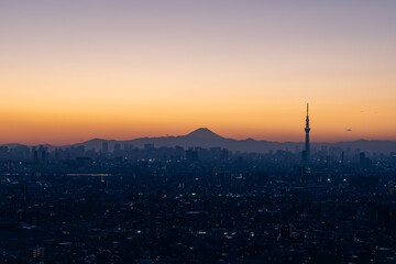 東京都と富士山・トワイライト