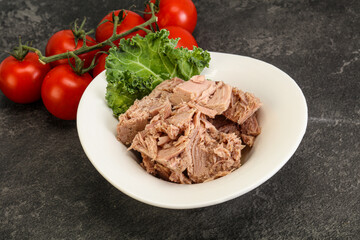 Canned tuna fillet in the bowl
