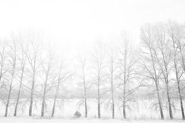 trees frost drone, abstract view background december landscape outdoor trees snow