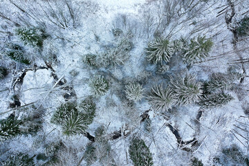 river in winter view from drone, outdoor frost forest landscape