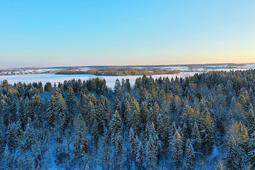trees frost drone, abstract view background december landscape outdoor trees snow