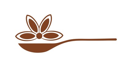 Condiments and spices. Star anise on a spoon.